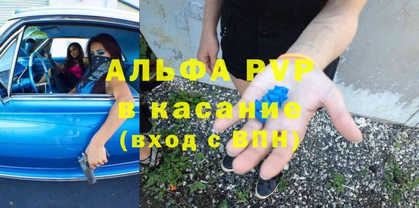 эйфоретик Богданович
