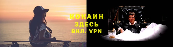 эйфоретик Богданович
